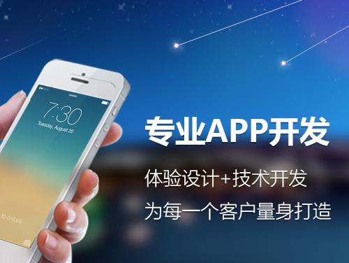 APP軟件開發(fā)市場前景分析