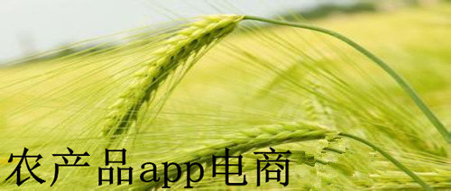 農(nóng)產(chǎn)品電商app開發(fā)