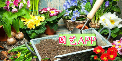 園藝app開發(fā)