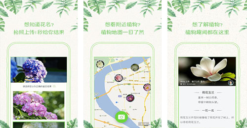 拍照識(shí)花APP開發(fā)