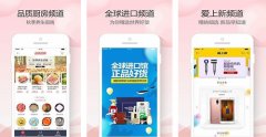 社區(qū)電商APP開發(fā)具體三個方向